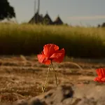 Kır Evi Par Tot Locorotondo