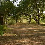 Par Tòt Casa de Campo